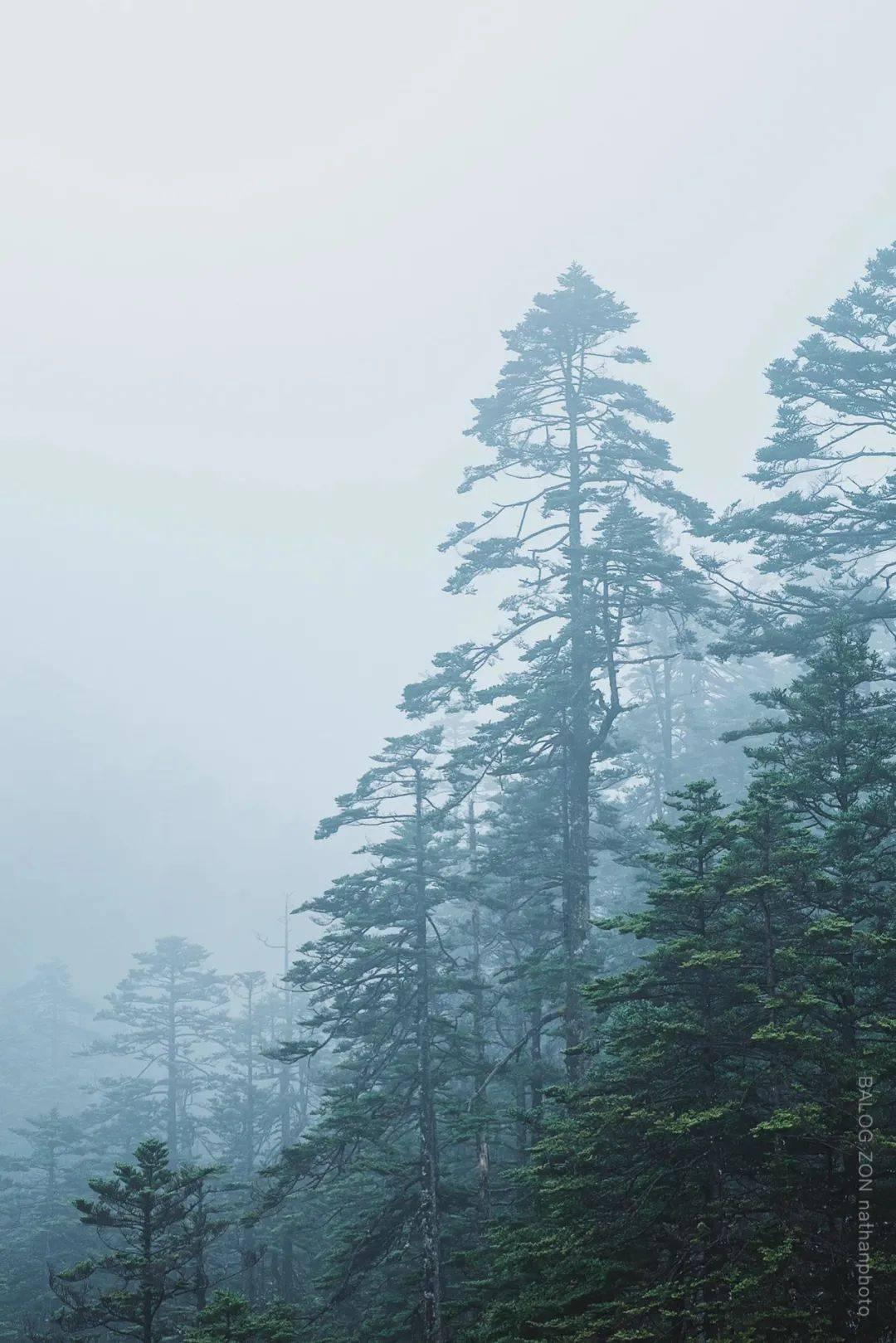 皮肤脸部脱皮怎么办- 专业的问答类网站