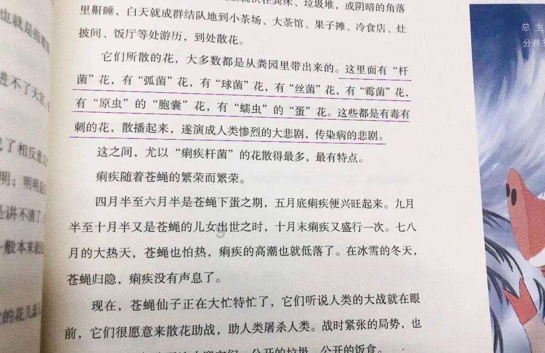探索身份证丢了怎么补办的知识星球平台,共享精华资源