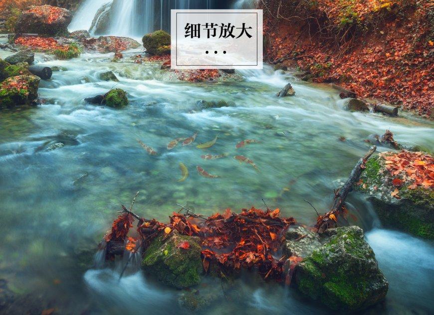 球球大作战下载最新版